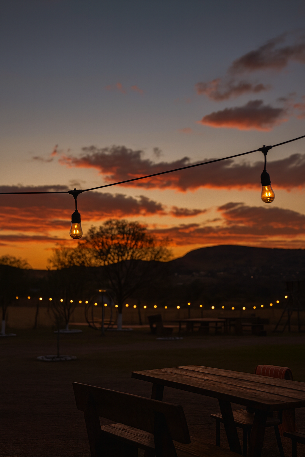 Luces Solares Vintage 15 m – 15 Bombillas con Control y Modos de Iluminación